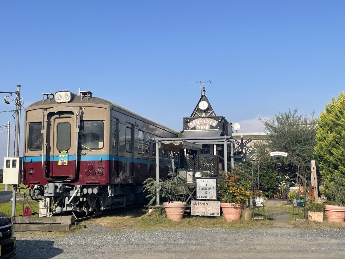 マスタード シード 電車 食堂
